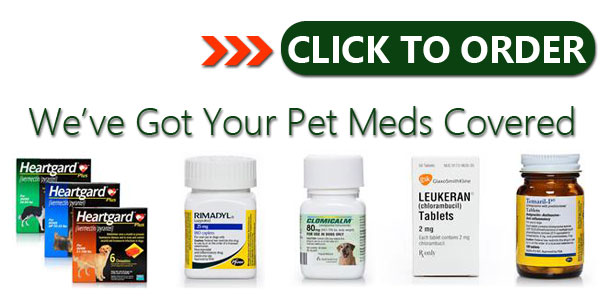 Order Pet Medications Here